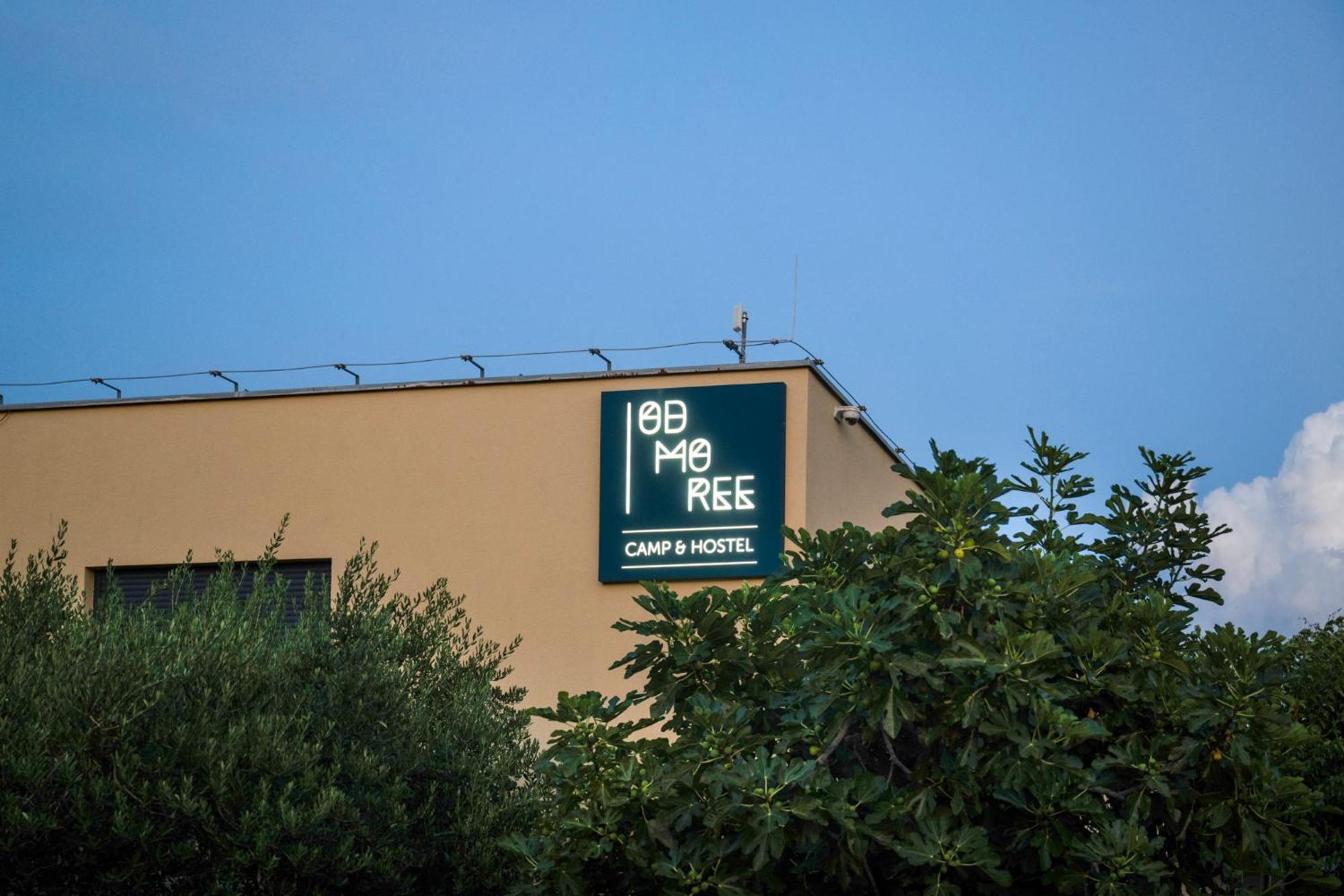 Hostel Odmoree Camp&hostel